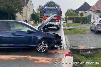 Enger: 21-Jähriger landet mit Golf am Minden-Weseler-Weg im Graben