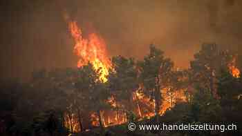 Swiss fliegt trotz Waldbränden planmässig nach Rhodos