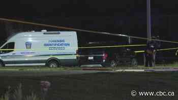 Man killed in Brampton shooting