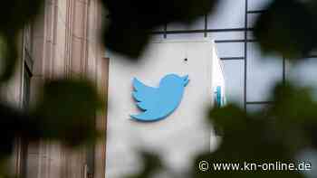 Elon Musk will Twitter-Vogel „Adieu sagen“