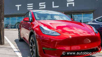 An asset manager bet big on Tesla in 2011. The stock is up nearly 15,000% since then