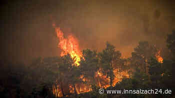 Tausende Urlauber fliehen vor Bränden auf Rhodos – Fühlt sich an „wie das Ende der Welt“