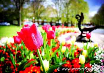 The beauty of nature inspires amateur photographer’s favourite photos