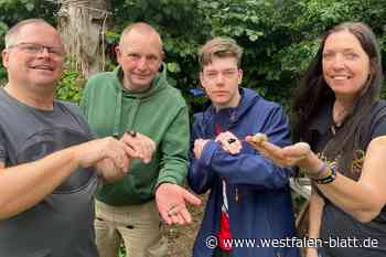 Altkreis Halle: Nashornkäfer finden neues Zuhause