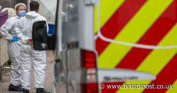 Arrested teenager eliminated from St Paul's murder investigation