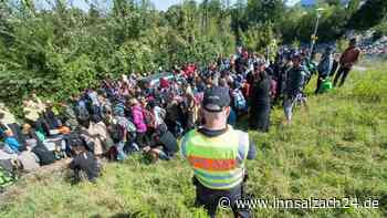 Vor allem Syrer, Türken und Afghanen: Deutschland bleibt der Asyl-Magnet Europas
