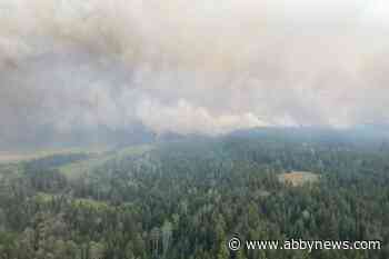 Wildfire south of Kamloops doubles in size to 1,800 hectares
