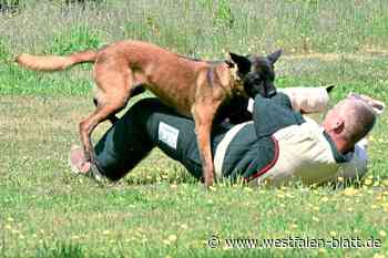 Beißattacke durch Polizeihund: Ermittlungen eingestellt