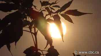 Air quality alert in place for much of Manitoba as more than 40 wildfires burn