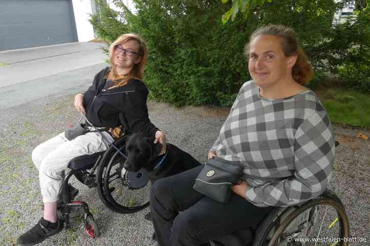 Labrador Magic soll Rollstuhlfahrerin alle Türen öffnen