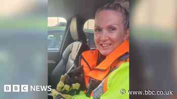 New-born kitten recovering after motorway rescue