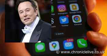 Twitter boss Elon Musk shares plans to rebrand platform with an 'X' as site gets brand new web address