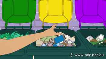 Know your rubbish from your recyclables? Take our quiz and test yourself