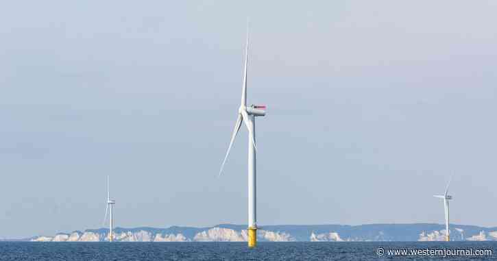 Sweden Axes 'Unprofitable' UK Wind Farm Plans In Defiance of Globalist's Green Energy Agenda