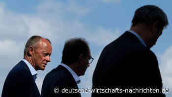 CDU-Chef Merz zeigt sich offen für Zusammenarbeit mit AfD