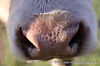 Milieuschade veehouderij jaarlijks negen miljard