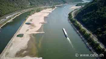 Rheinpegel bei Kaub sinkt auf Jahrestief - Nur noch 92 Zentimeter