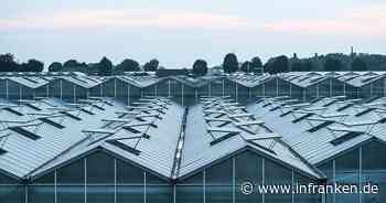 Spanien bleibt wichtigster Lieferant für Obst und Gemüse