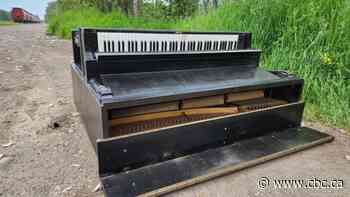 Thunder Bay to look at alternative ways to deal with illegally-dumped large debris as council cuts funding