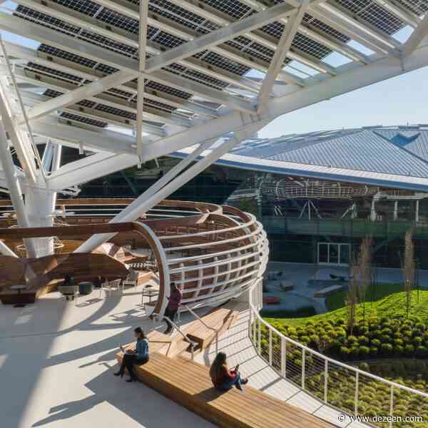 Tree-like trellis with photovoltaic panels covers outdoor workspace in Silicon Valley