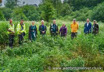 Cassiobury Park wetlands restoration project to start soon