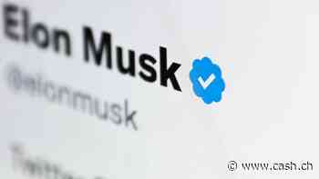 Musk macht ernst: Twitter soll zu X werden