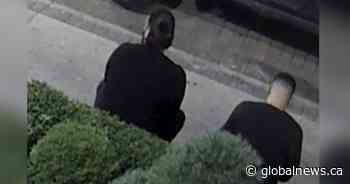 Police seek to identify men of interest in central Hamilton arson probe