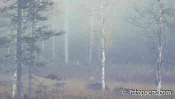 Why Landscape Photographers Should Rethink the Exposure Triangle