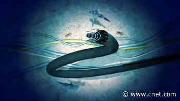 The Secret Life of the 500+ Cables That Run the Internet     - CNET