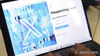 Bye Bye Birdie: Elon Musk reveals new black and white X logo to replace Twitter's blue bird