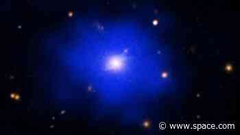 Unusual galaxy cluster is an island of tranquility in the chaotic early universe