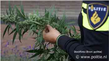 Zeewolde - Hennepkwekerij ontdekt bij brand bedrijfspand Zeewolde