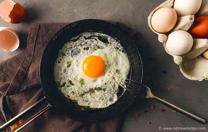 Kenora – Grab the Frying Pan, Can You Really Fry an Egg today?