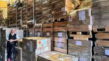 Gründer von Bitcoin Suisse plant ein Mega-Feuerwerk in Zug