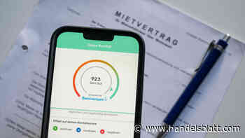 Verbrauchersicherheit: IT-Expertin entdeckt Sicherheitslücke bei der Schufa – Mieterauskünfte unter fremdem Namen abrufbar