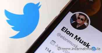 Elon Musk macht aus Twitter "X" - massive Kritik