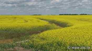 Sask. farmers evangelize benefits of proper drainage