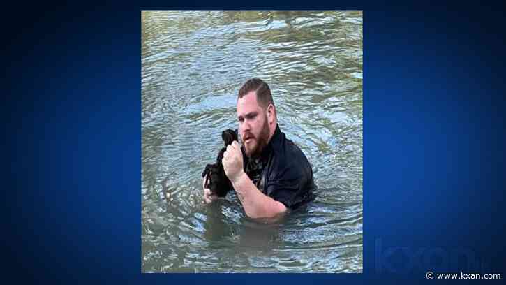 City worker rescues kitten stranded on log in Seguin