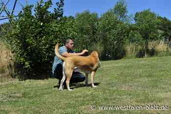Löhne: Hunde-Pension Mügge darf weitermachen