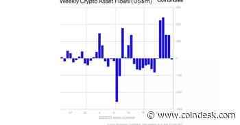 Crypto Investors Sour on Bitcoin Funds After Massive Inflows, Turn Instead to Ether and XRP