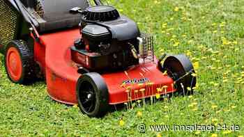 Mein Vermieter verlangt, dass ich alle zwei Wochen Rasen mähe - Ich will aber einen Naturrasen