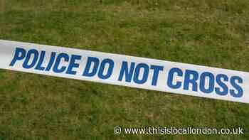 Thornton Heath Brigstock Road: Two arrested after stabbing