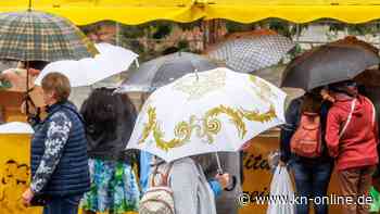 Viele Einsätze nördlich von Hamburg nach starkem Gewitter