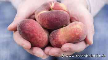 „Shaved Peach“ im Sommer – das neue Lieblings-Dessert mit Pfirsich