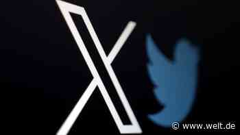 Im „X“ offenbaren sich Chaos und Hybris des Systems Musk