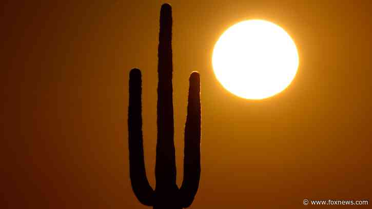 AZ woman died on sweltering day after her electricity was cut off due to $51 debt; now companies must adapt