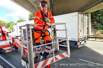 Schloß Holte-Stukenbrock:  Straßenwärter werden beschimpft und mit Müll beworfen
