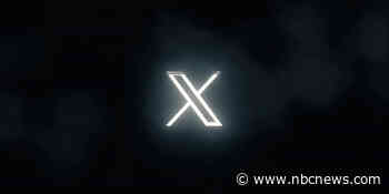 Twitter rebrands to 'X' as Elon Musk loses iconic bird logo