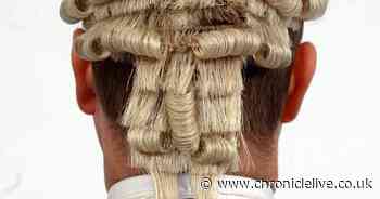 Former Newcastle barrister suspended for two-and-a-half years after 'persistent harassment'