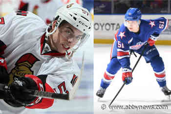 Pair of Abbotsford hockey pros sign in Europe